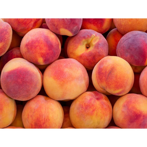 Momori 桃子保濕護髮護手霜 150g