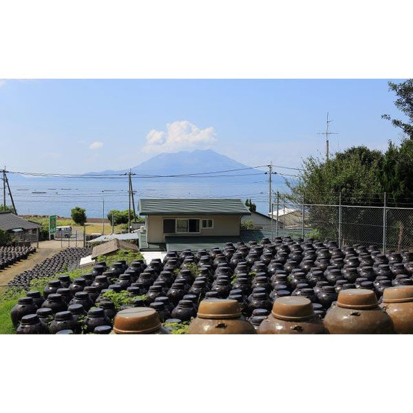 福山 陳年黑醋佐日本蘋果汁 500ml