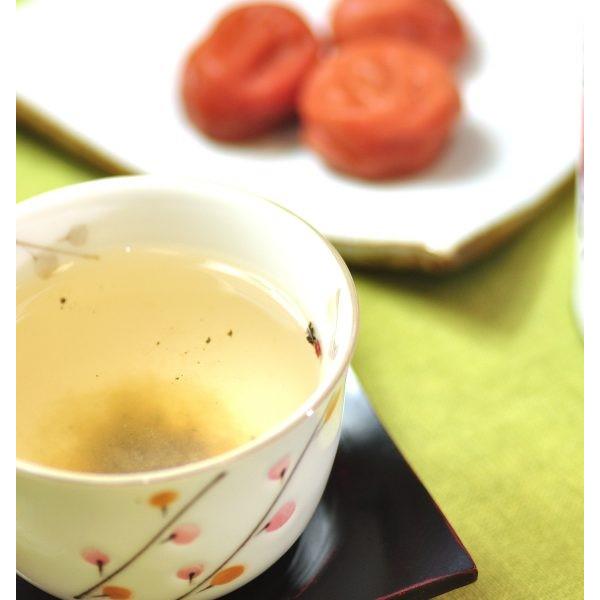 Izuri Konbucha 天然梅梅海帶茶粉 40g