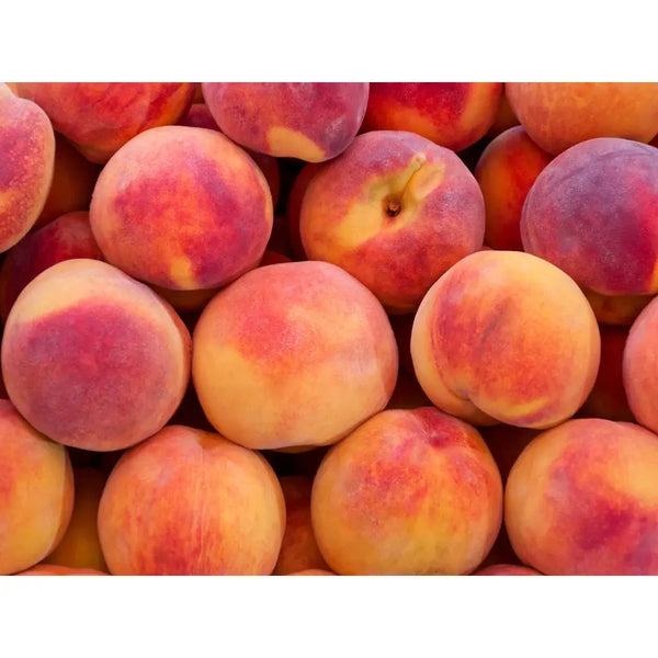 Momori 桃子順滑髮乳(適合乾燥和打結的頭髮)115ml