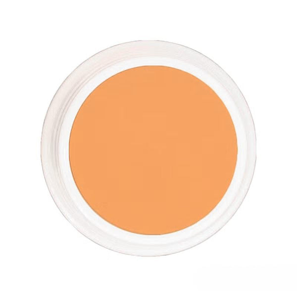 Naturactor Coverface 全遮瑕粉底霜 20 克