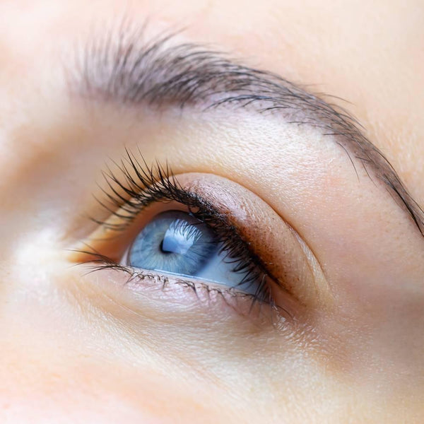 Ortho Bambi Wink 睫毛補充劑 60 片