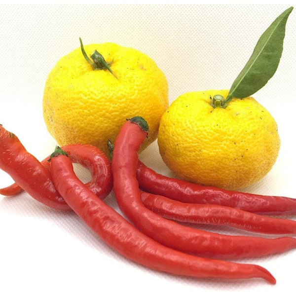 Fundokin 紅柚子調味醬 辣柑橘調味醬 50g