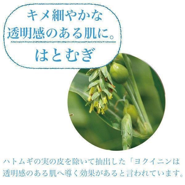 Kosé Bihada Syokunin 亮白鳩麥薏仁面膜 7 片