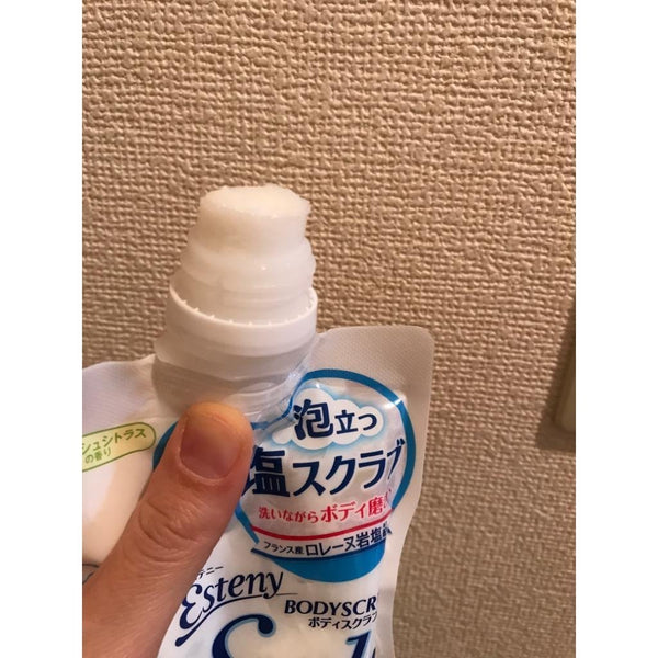 Sana Esteny 鹽磨砂膏 日本天然鹽身體磨砂膏 350g