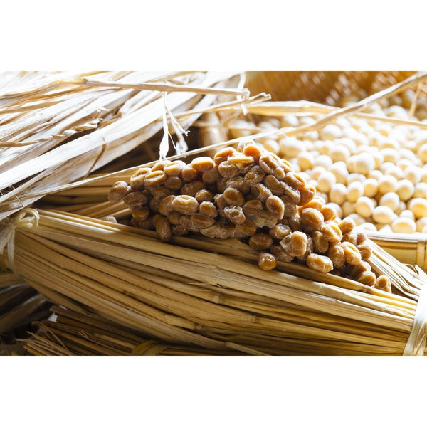 川口納豆凍乾納豆粉 75g