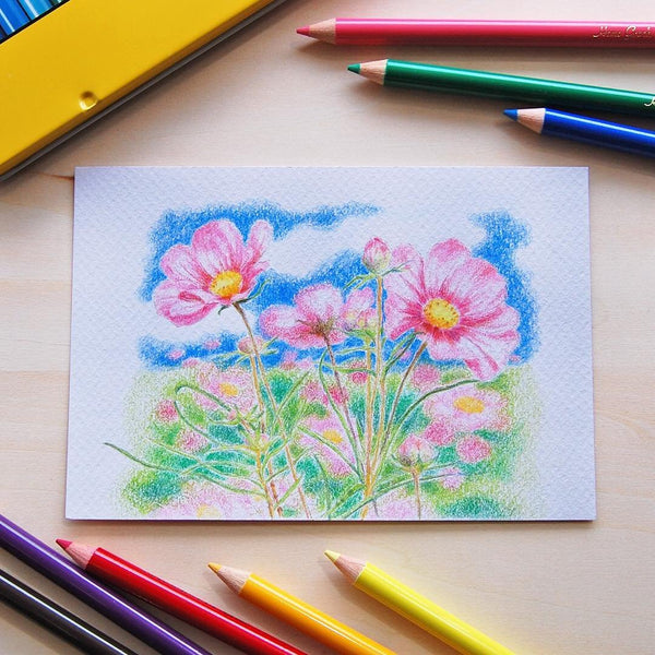 Tombow 色鉛筆 多彩鉛筆套裝 12 色 CB-NQ12C