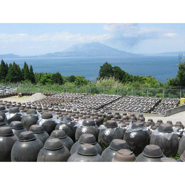 Marushige 藍莓特級飲用醋 500ml