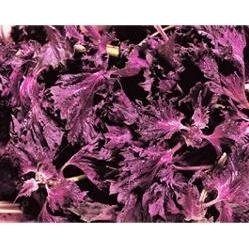 三島由香里 紫蘇香松 米飯調味料 200g