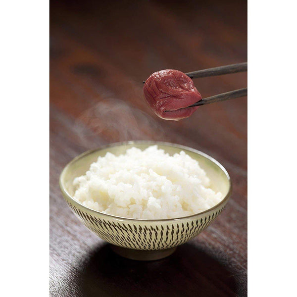 Umeboshi 酸梅 無添加 500g