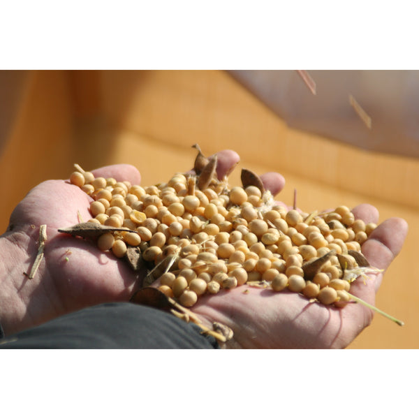 足立釀造陳年味噌自然發酵紅味噌醬 500g