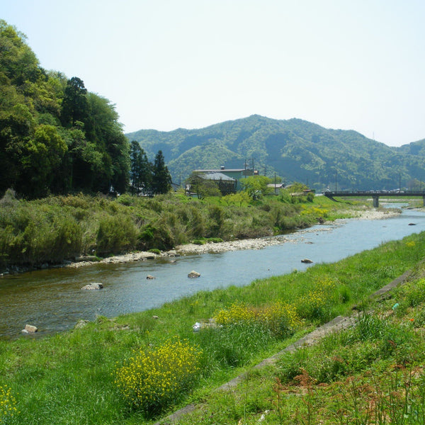 足立釀造黑豆醬油 1 年陳釀丹波黑大豆醬油 300ml