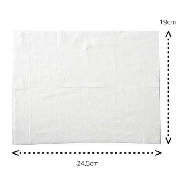 Bioré 清涼身體濕紙巾 無香型即時降溫片 20 片