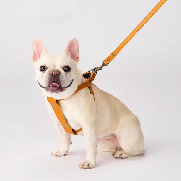 Bonbi Pets 櫪木牛皮狗背帶 駝色 棕色