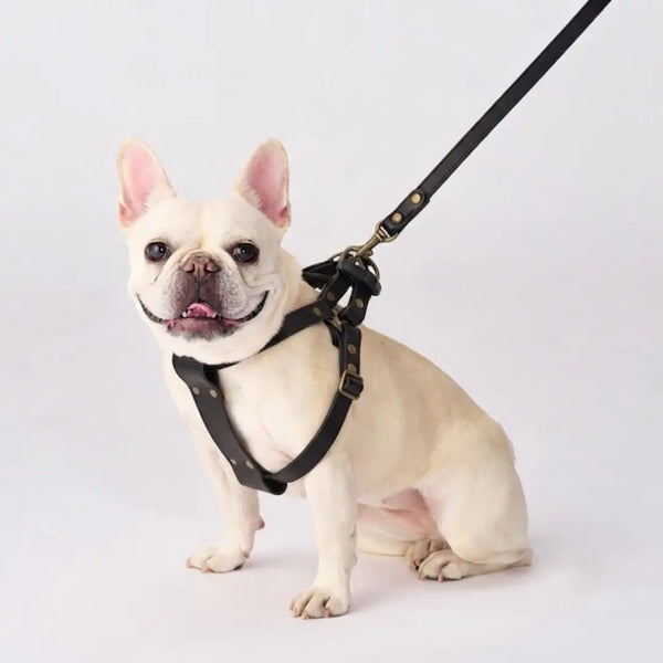 Bonbi Pets 栃木牛皮狗背帶橄欖綠