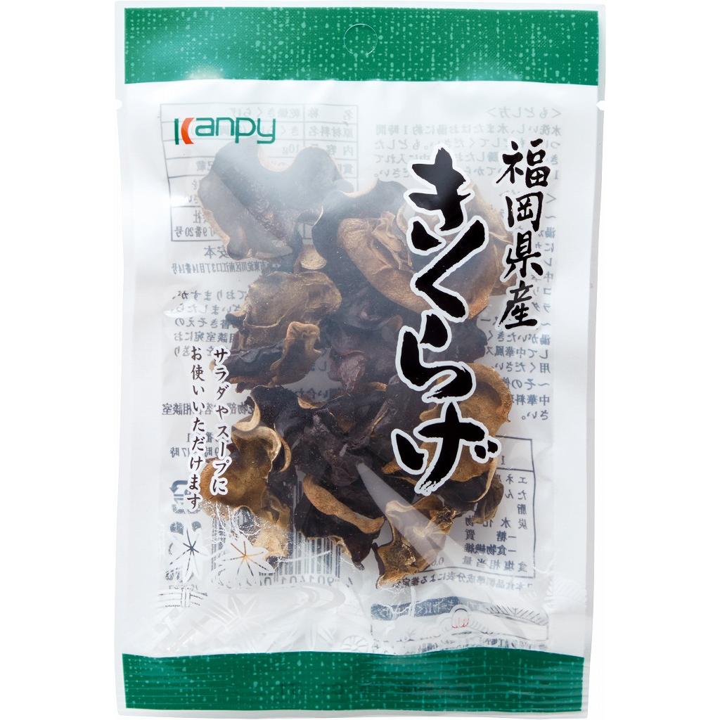 乾菊毛整顆日本木耳 10 克