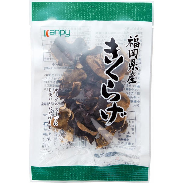 乾菊毛整顆日本木耳 10 克