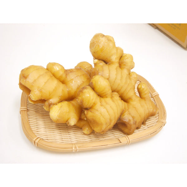 Fukuyamasu Shoga Kurozu 薑味陳年黑米醋 200ml