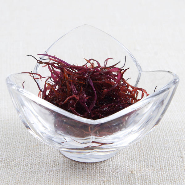 Funori Seaweed 富含礦物纖維的乾紅海藻 45g