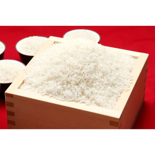 Gishi Mochiko Flour 日本糯米粉 250g