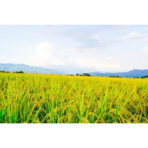 Gishi Namamaru 麻糬日本圓形年糕 400g