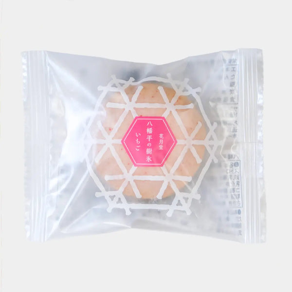 八幡平樹冰草莓巧克力棉花糖蛋糕（6 件裝）