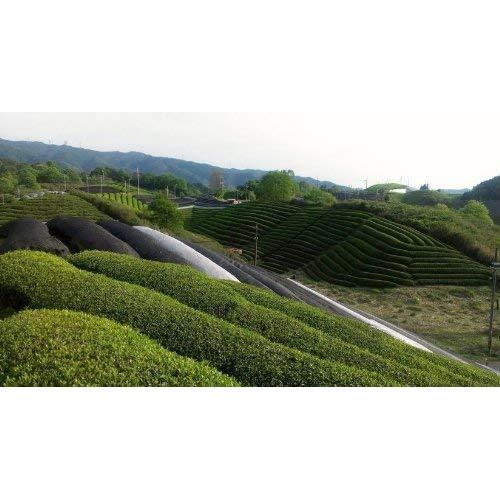 播磨園正宗宇治有機認證抹茶粉 30 克