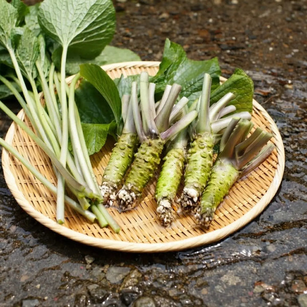 Kameya Wasabi Dressing 真正芥末多用途調味醬 200ml