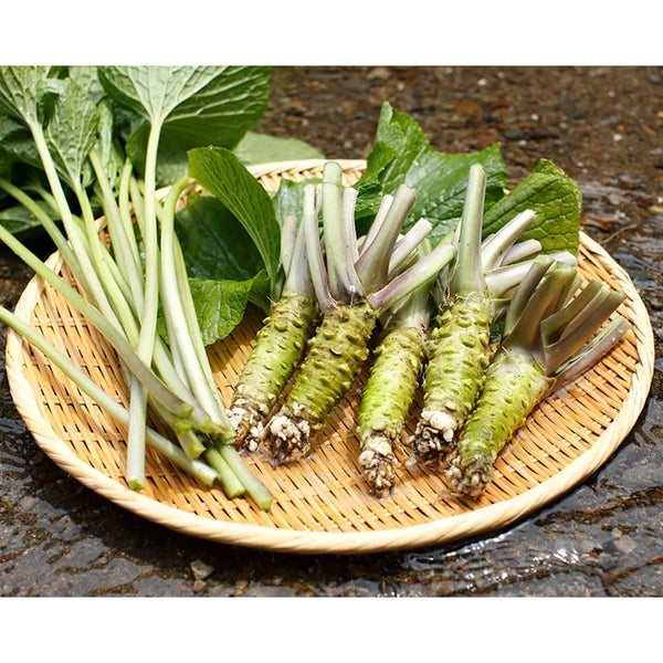 Kameya 芥末海苔香鬆多功能米飯調味料 38g