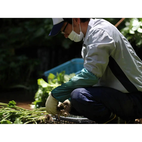 Kameya 芥末海苔香鬆多功能米飯調味料 38g