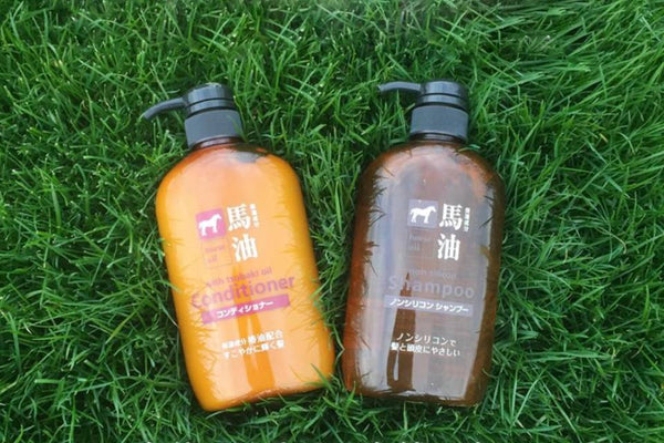 熊之志