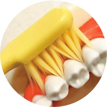 Life Range 窄頭牙刷超細高密度中刷毛