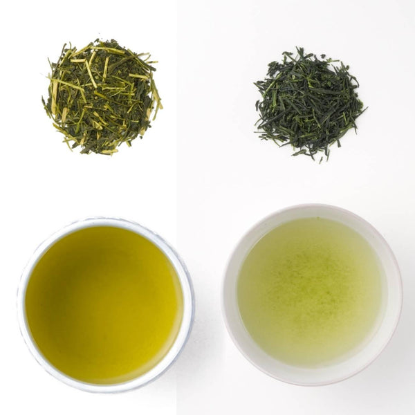 豪華競賽級宇治京都玉露和煎茶綠茶套裝盒