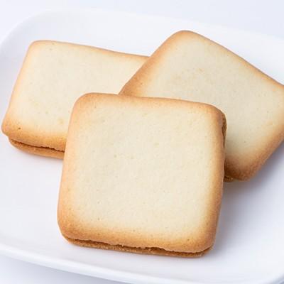 Ito Languly 先生 巧克力奶油 Langue De Chat 餅乾 12 克拉。