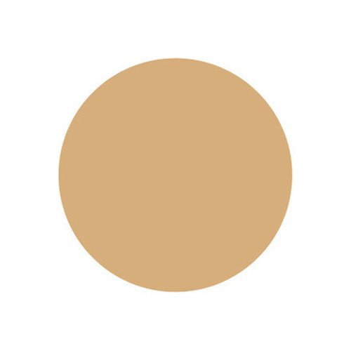 Naturactor 夏季蛋糕防汗水性粉底 16 克