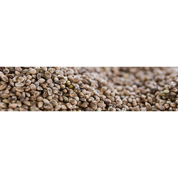 八幡屋磯五郎七味戶辛調味料 罐裝 14g