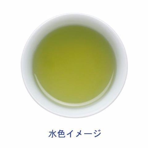 伊藤園 Oi Ocha 優質日本綠茶抹茶混合 50 袋