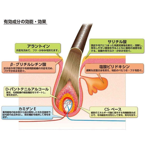 Kaminomoto 觸發生髮促進劑 180ml