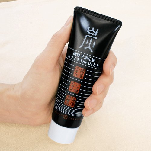 世界天堂竹炭口臭牙膏 110ml