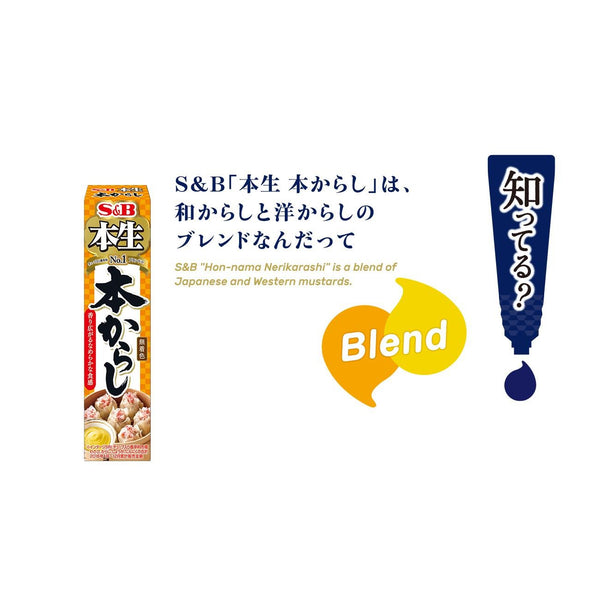 S&B Foods 芥末醬 日本芥末醬 管裝 43g