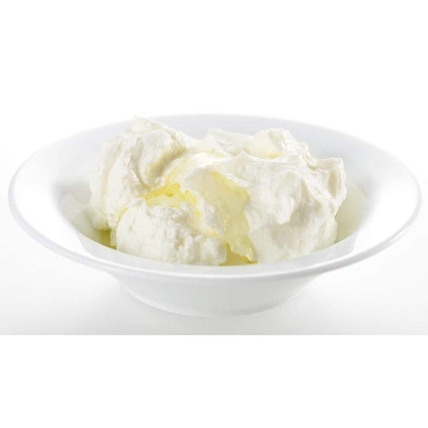 吉川希臘優格機容器 SJ1884