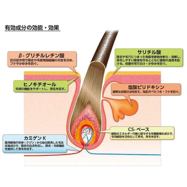 Kaminomoto 生髮劑檸檬酸橙乳液 150ml