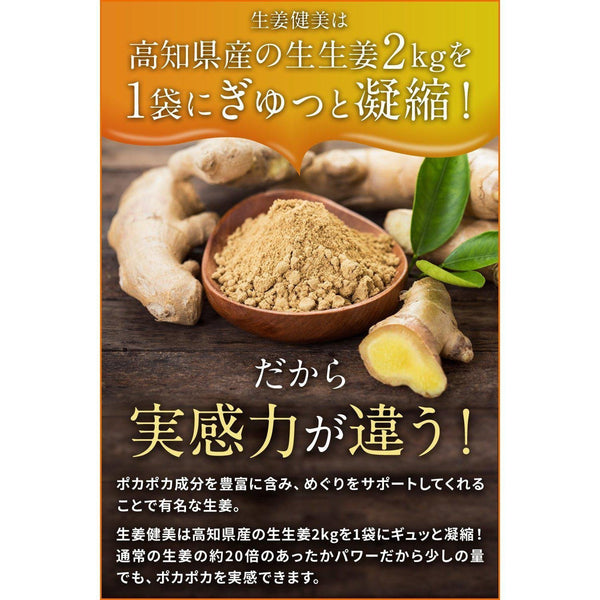 Shoga Kenbi 日本薑粉 100g