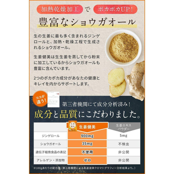 Shoga Kenbi 日本薑粉 100g