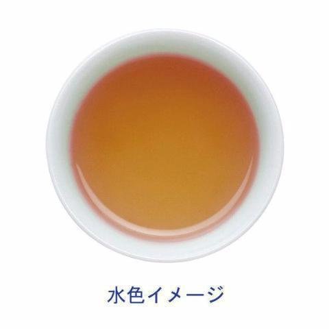 伊藤園 Oi Ocha Hojicha 高級烘焙綠茶 50 袋