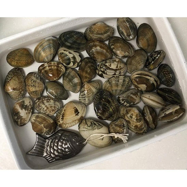 Toribe Tetsu no Kenko Tai 烹飪用鑄鐵魚