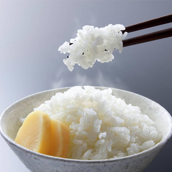 醃蘿蔔無添加竹庵整條1根