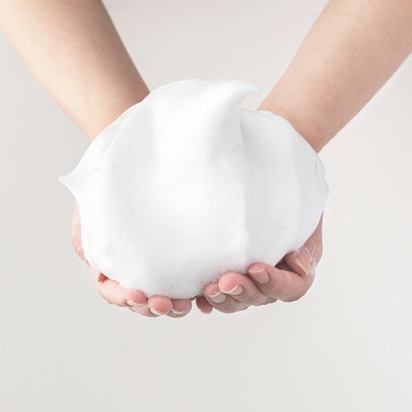 Sana Nameraka Honpo 豆奶異黃酮泡沫潔面乳（適合中性肌膚）150g