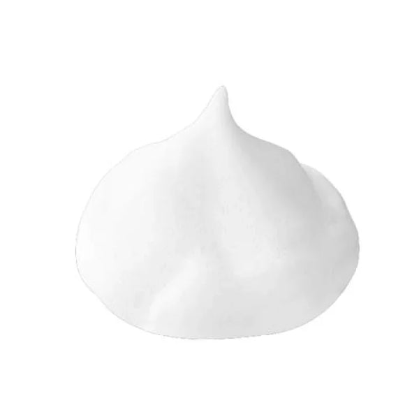 Sana Nameraka Honpo 豆奶異黃酮泡沫潔面乳（適合中性肌膚）150g