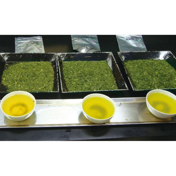 水草園有機綠茶兒茶素綠茶粉 40g